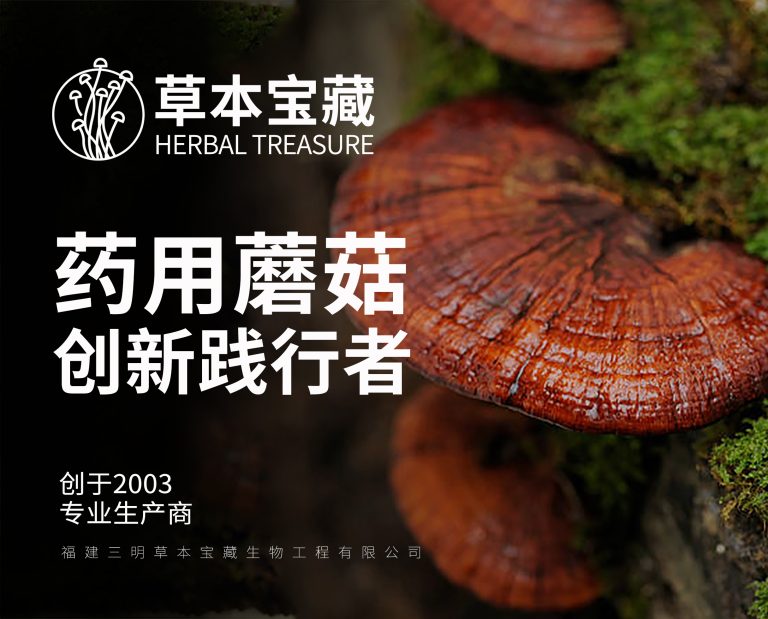 手册封面